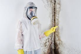 Reliable Monmouth, IL Mold Prevention & Removal  Solutions